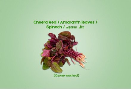 Cheera Red / Spinach / ചുവന്ന ചീര - 200.00 gm ( Ozone Washed)